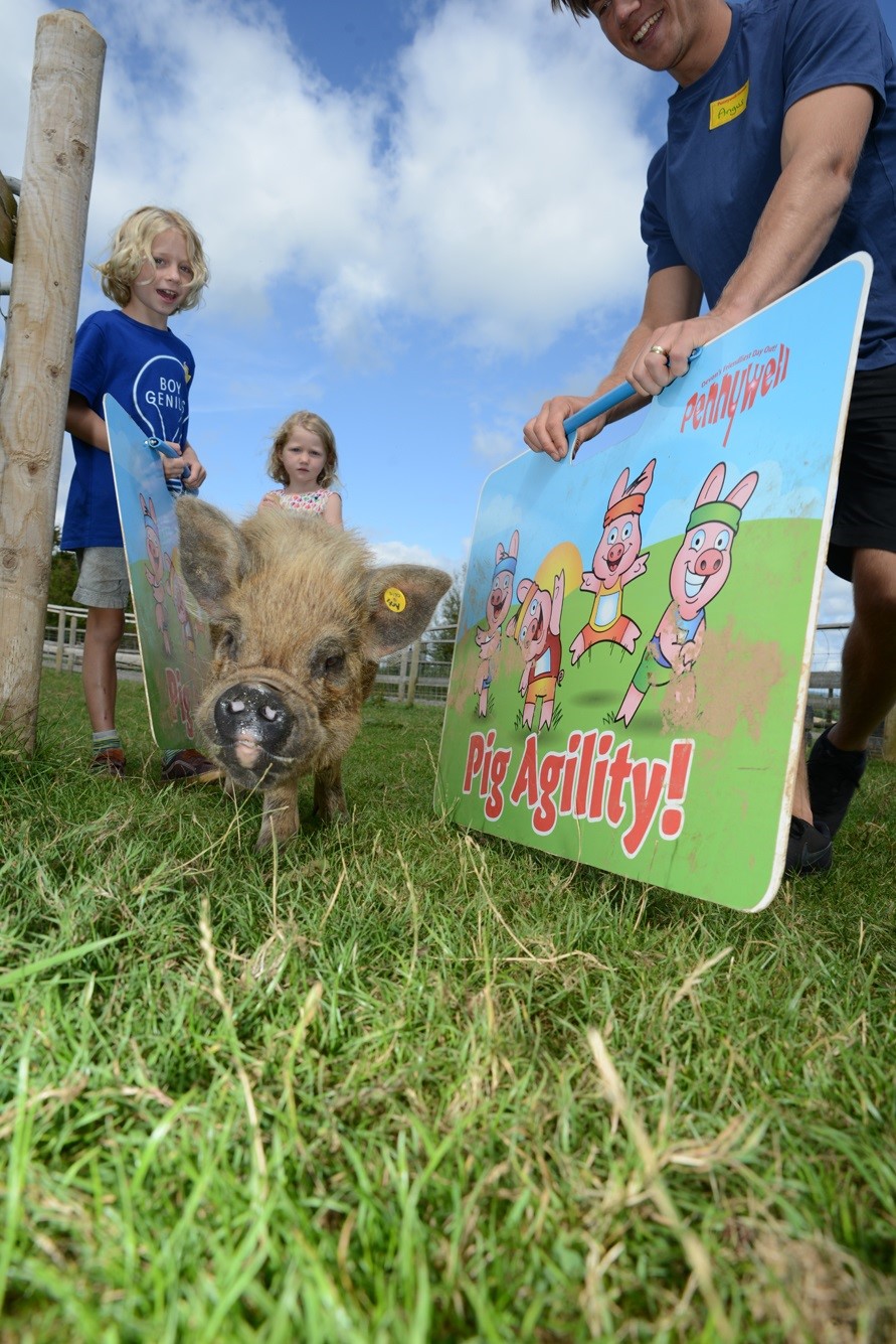 Pennywell Farm & Wildlife Centre